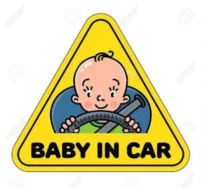 1pcs (D) Baby In Car Sticker 350 TK