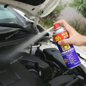 Botny Multipurpose Anti-Rust Lubricating Spray For Metal parts